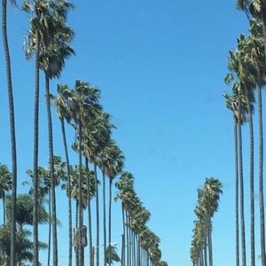 Meet your Posher, Donovan